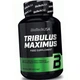 Трибулус Бустер тестостерона BioTech Tribulus Maximus 90 таб - изображение 2