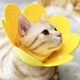 Воротник-подушка для кошек Lesko DT-1063 Flower Yellow S послеоперационный защитный от вылизывания - изображение 6