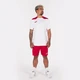 Футболка бело-красная Joma CHAMPIONSHIP VI 101822.206 Joma XL - изображение 4