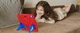 Чехол STR Spider Apple iPad 10, 2022 (10.9" экран) детский с подставками Spiderman Red/Blue - изображение 8