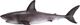 Фігурка Mojo Animal Planet Great White Shark XL 5.5 см (5031923810129) - зображення 3