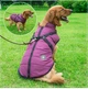Светоотражающая зимняя куртка для собак Purple, L Фиолетовый - изображение 2