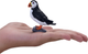 Figurka Mojo Wildlife Atlantic Puffin 6.5 cm (5031923810815) - obraz 5