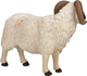 Figurka Mojo Farm Life Black Faced Sheep Ram 8 cm (5031923870819) - obraz 4