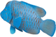 Figurka Mojo Sealife Blue Groper 7 cm (5031923873568) - obraz 3