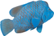 Figurka Mojo Sealife Blue Groper 7 cm (5031923873568) - obraz 4