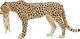 Figurka Mojo Wildlife Cheetah Female with Cub 6 cm (5031923871670) - obraz 6