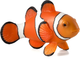 Figurka Mojo Sealife Clown Fish 4.5 cm (5031923870901) - obraz 1