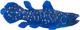 Figurka Mojo Sealife Coelacanth 4.75 cm (5031923810501) - obraz 3