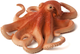 Figurka Mojo Octopus 4.5 cm (5031923872752) - obraz 1