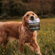 Печенье для собак Beco Pets Шоколад с керобом, ромашкой и киноа 70 г (растительный белок) (BFTR-DOGCH) - изображение 3