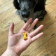 Печиво для собак Beco Pets Арахіс з кокосом і куркумою 70 г (рослинний білок) (BFTR-PEANU) - зображення 3