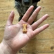 Печиво для собак Beco Pets Кеш'ю з гарбузовим насінням і морквою 70 г (рослинний білок) (BFTR-CASHE) - зображення 3