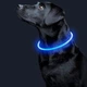 Светодиодный Lesko Blue M LED ошейник L-18 USB светящийся водоотталкивающий для собак и котов - изображение 2