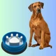 Миска для собак котов круглая Slow Feeder Bowl Лапка для медленного кормления пластиковая - изображение 1