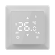 Терморегулятор IN-THERM PT 516 white matte - изображение 1