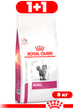 Сухой корм для взрослых кошек Royal Canin RENAL CAT при заболеваниях почек 8 кг - изображение 1
