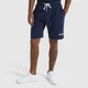 Чоловічі Шорти Ellesse Trio Short Синій L (7dSEP16392-429 L) - зображення 1