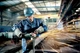 Metabo Шліфмашина кутова WEVA 15-125 QUICK, 125мм, 1550Вт, 2800-11000об/хв, М14, 2.5кг - зображення 4