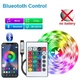 Светодиодная лента USB многоцветная RGB 5 м c пультом и управлением с телефона RGB5050 - изображение 2