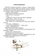 Квітка сонця - Сухомлинський Василь (9789664297315) - изображение 6