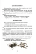 Квітка сонця - Сухомлинський Василь (9789664297315) - изображение 7