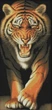 Набор для вышивания крестом со схемой на канве 45х84 Тигр Joy Sunday D076 - изображение 1