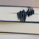 Закладка дня книги " Кігті монстра " - изображение 1