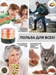 Сушилка для овощей и фруктов мяса рыбы электрическая Monte MT-1661 400 Вт 6 лотков грибы ягоды 2 сита - изображение 4