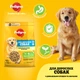 Сухий корм Pedigree Adult Сухий корм для дорослих собак з домашньою птицею та овочами 2,6 кг (5998749144961) - зображення 4