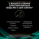 Консервированный корм Purina Pro Plan Veterinary Diets Veterinary Diets EN Gastrointestinal Влажный диетический корм для взрослых собак для устранения расстройств пищеварения, мус 195 г (7613287858047) - изображение 4