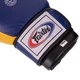 Перчатки боксерские кожаные FAIRTEX Pro (размер 16oz, Синий-желтый) (BO-3783_Синий желтый_16_унции) - изображение 3