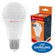 Светодиодная лампа ELECTRUM A60 10W E27 3000K LS-33 Elegant Ra90 (A-LS-1911) - изображение 1