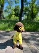 Літній пильник для собак WowPaw Хмаринка M жовтий - изображение 1