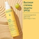 Сонцезахисний спрей для тіла - Caudalie Vinosun Protect Spray Invisible SPF50 150ml (1191796-137942) - зображення 3