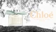 Парфумована вода для жінок Chloe Eau de Parfum Naturelle 50 мл - зображення 5