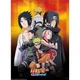 Набір постерів NARUTO SHIPPUDEN Ninjas (Наруто) - изображение 3