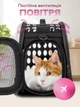 Сумка переноска для котів та собак 34x20x20 см (S) CosmoPet CP-21 Black - зображення 3