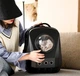 Рюкзак-перенесення для котів та собак 49x31x35 CosmoPet CP-62 Black - зображення 4