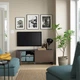 Тумба під телевізор з дверцятами IKEA BESTA 120x42x48 см (794.198.96) - зображення 2