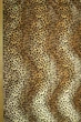 Ткань искусственный мех "Лео" 250г/м2 150см 1пог.м (№8353) - изображение 1