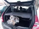 Акустическая полка на Renault Sandero Декор Карпет - изображение 3