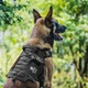 Шлея-жилет OneTigris Dog Gear X Commander Harness для собак Черный L (161426) - изображение 7