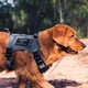 Шлея-жилет OneTigris Fire Watcher Dog Harness для собак Черный L (161747) - изображение 5