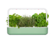 Гидропонная установка – умный сад Click and Grow SG9S13UNI Smart Garden 9 (Ограниченная серия) Мятно-зеленый - изображение 1