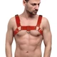 Мужская портупея на грудь Feral Feelings Bulldog Harness Красный S/M/L (SO9307) - изображение 1