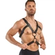 Портупея Bedroom Fantasies Rocco Masculine Masterpiece - Black - изображение 3