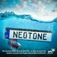 Камера заднего вида Neotone NTK-180Z Б/В - изображение 3