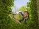 Ножиці для живоплоти Gardena NatureCut (12300-20.000.00) - изображение 8
