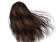 Крем-краска для волос Green Light с белым чаем и экстрактом орхидеи Luxury Haircolor Permanent Coloring Cream 4 Intense Chestnut 100 мл - изображение 2